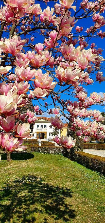 Villa Serena Agriturismo Монтебеллуна Экстерьер фото